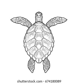 Sea Turtle Adult Coloring Page