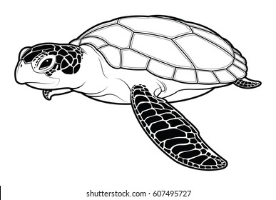 Sea turtle animal cartoon. silhouette vector illustration.