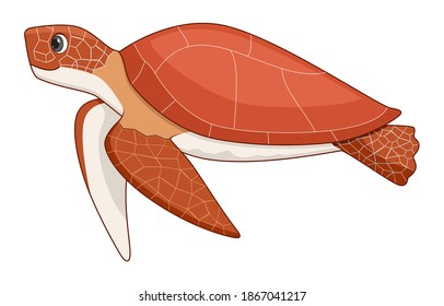 Singular Sea Turtle Cartoon Sketch Stock Illustration 1898309944