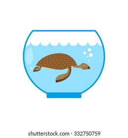 Sea turtle in an aquarium. Water animal Pet in captivity. 
