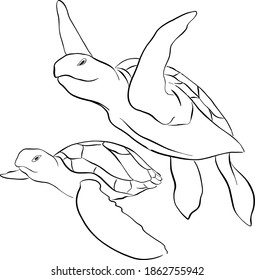 Sea turtle. Artistic, colored drawing of a sea turtle on a white background. 