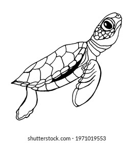Sea turtle black contour doodle vector EPS
