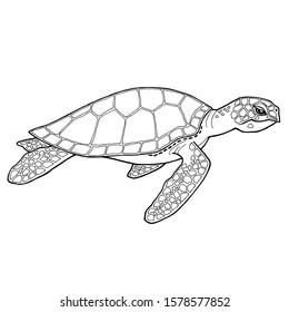 Sea turtle. Black and white image with a black outline. Detailed freehand drawing. Side view of a swimming tortoise. For coloring books, wallpaper decoration, eco banner, environmental conservation.