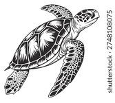 Sea turtle black and white isolated vector illustration in vintage engraving style. Detailed hand drawn line art with bold contour lines on white background.