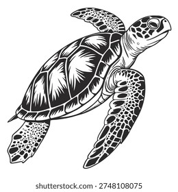 Sea turtle black and white isolated vector illustration in vintage engraving style. Detailed hand drawn line art with bold contour lines on white background.