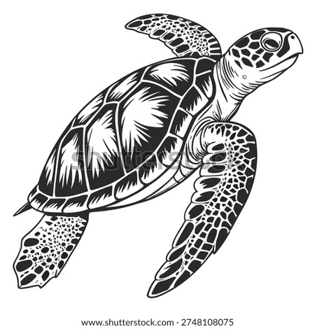 Sea turtle black and white isolated vector illustration in vintage engraving style. Detailed hand drawn line art with bold contour lines on white background.
