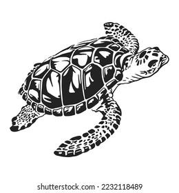 Sea turtle in black and white vector line art illustration