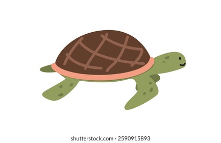 Sea turtle cartoon clipart. Cute sea turtle vector illustration. Animal in flat style. Sea animals concept isolated on white background