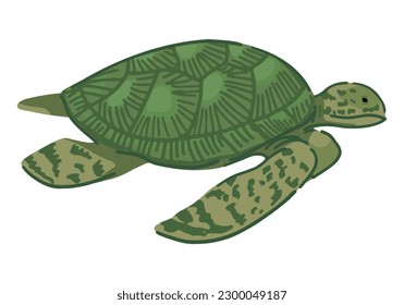 Sea turtle clipart. Single doodle of underwater animal isolated on white. Colored vector illustration in cartoon style.