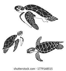 Sea turtle. Collection of turtles swimming in sea. Family of marine life. Black and white set vector illustration