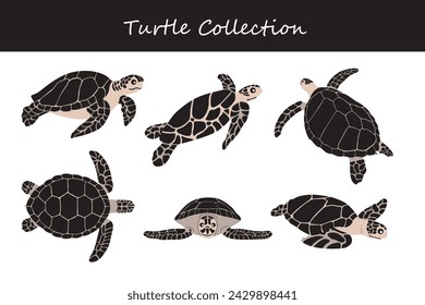 Sea turtle collection. Vector illustration