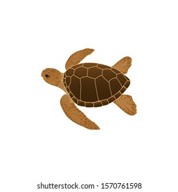 Sea Turtle color vector style 