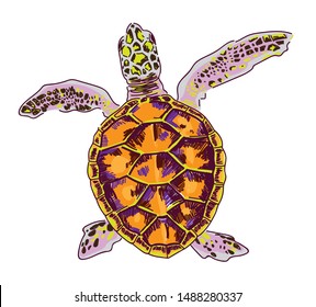 11,655 Turtle hand drawing Images, Stock Photos & Vectors | Shutterstock