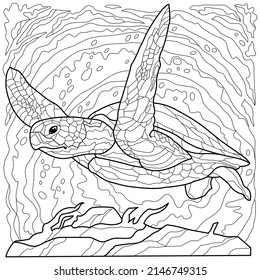 Sea turtle coloring book, black outline on a white background.