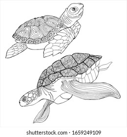 Sea Turtle Coloring Book. Hand drawing coloring book for children and adults. Beautiful drawings with patterns and small details. For anti-stress and children coloring page, emblem or tattoo.