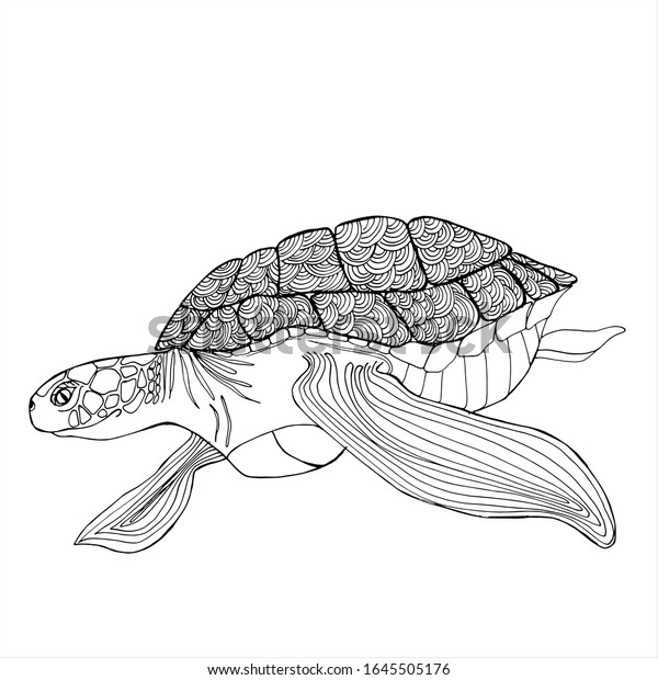 sea turtle coloring book hand drawing stock vector royalty