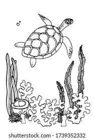 sea turtle coloring book page. Hand drawing. Anti stress drawing therapy for adults and children with underwater world. One of a series of painted pictures.Template for embroidery pattern, decorations