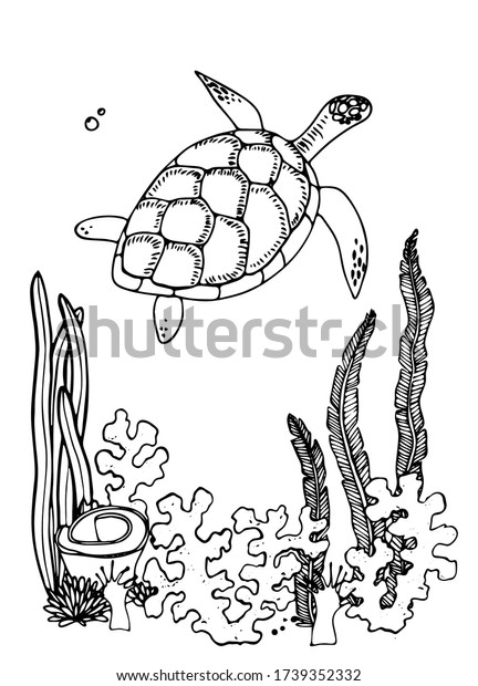 Featured image of post La Tortuga Marina Para Colorear