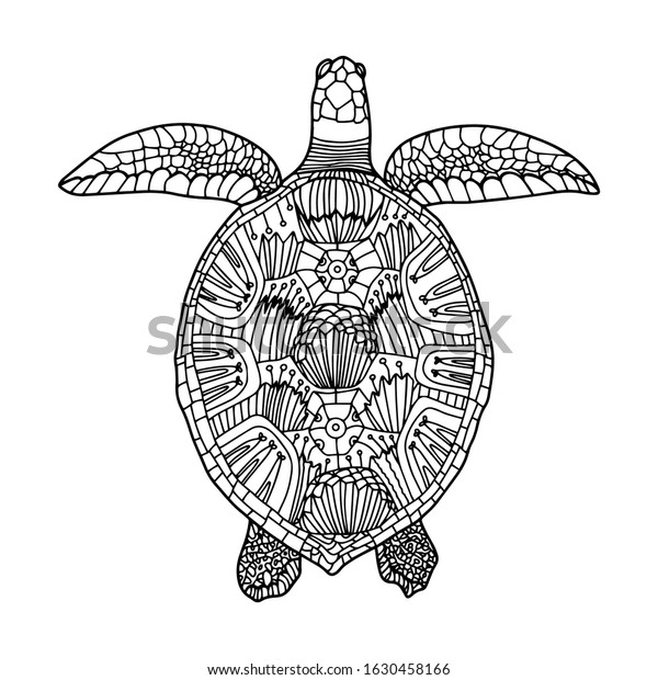 sea turtle coloring page ocean turtle stock vector royalty