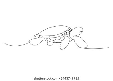 Sea turtle continuous line art. Turtle outline vector illustration on white background.