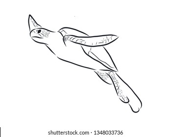 Sea turtle contour, vector illustration