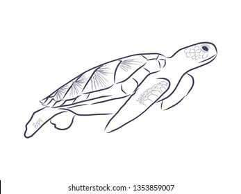 Sea turtle contour,vector illustration
