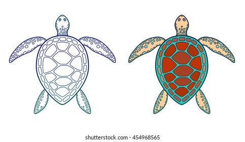 Sea turtle. Creature floating in water. Vector illustration isolated on white. 