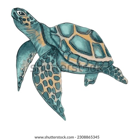 Sea turtle. Cute animal design. Turquoise sea turtle swims in the water. Hand drawn illustration.