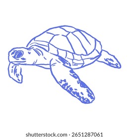 Sea turtle drawing with simple crayon lines. Fun child ocean sketch. Hand drawn chalk or charcoal stroke sticker illustration for kids books, school posters, marine animals learning cards.