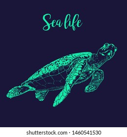 Sea turtle - drawing sketch of sea tortoise swimming under water. Wild ocean turtle hand drawn vector illustration neon blue on dark blue background.