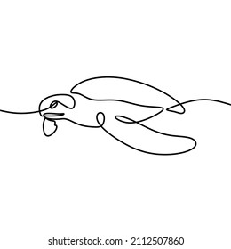 sea turtle fauna aesthetic oneline continuous single line art