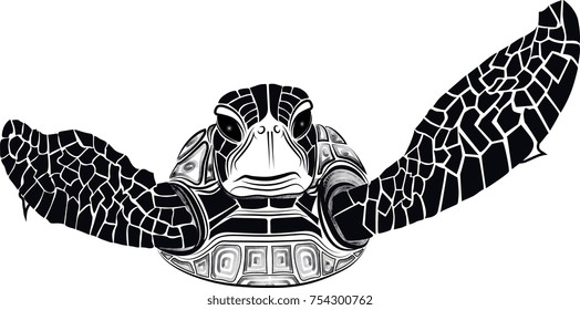 Sea Turtle of the Galapagos Islands
