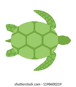 
Sea turtle with a green shell
