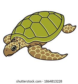 Sea turtle with a green shell and tortoise-shaped body