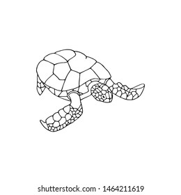 Sea turtle hand drawn illustration. Sketch vector isolated tortoise.