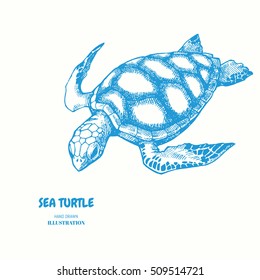 Sea turtle. Hand drawn vector illustration. turtle isolated on white background