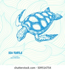 Sea turtle. Hand drawn vector illustration with turtle on wave background