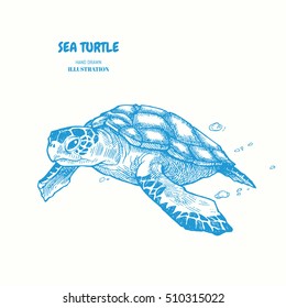 Sea turtle. Hand drawn vector illustration. turtle isolated on white background