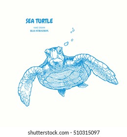 Sea turtle. Hand drawn vector illustration. turtle isolated on white background