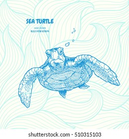 Sea turtle. Hand drawn vector illustration with turtle on wave background