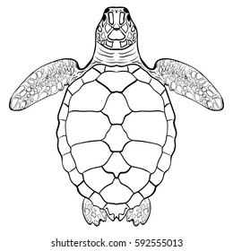 Turtle Stock Vector (Royalty Free) 121746808