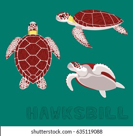 Sea Turtle Hawksbill Cartoon Vector Illustration