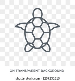 Sea turtle icon. Sea turtle design concept from Summer collection. Simple element vector illustration on transparent background.