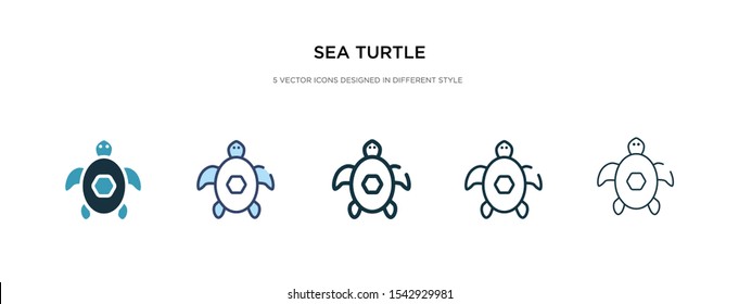 sea turtle icon in different style vector illustration. two colored and black sea turtle vector icons designed in filled, outline, line and stroke style can be used for web, mobile, ui