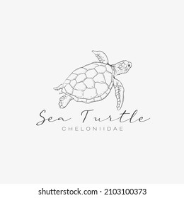 Sea turtle icon logo hand drawn vector illustration isolated on white background.