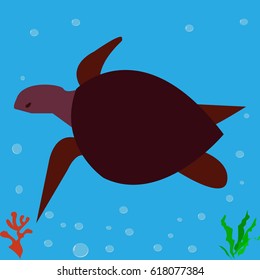 Sea turtle, icon, logo, symbol.