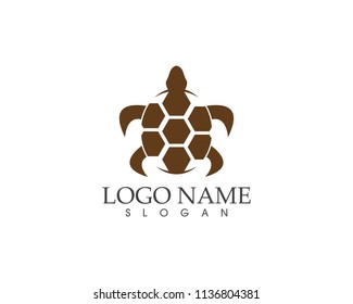 Sea turtle icon logo vector illustration