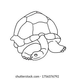 Sea turtle icon in outline style isolated on white background. Sea animals symbol vector illustration.