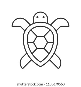 Sea turtle icon, set of ocean life, line design vector