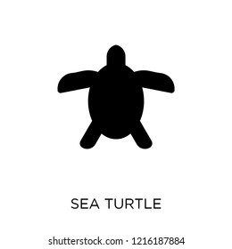 Sea turtle icon. Sea turtle symbol design from Summer collection. Simple element vector illustration on white background.